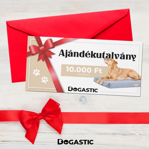 Dogastic Ajándékutalvány