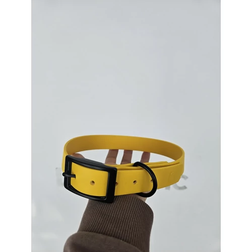Kép 1/2 - BioThane 25 mm basic nyakörv - XL méret 