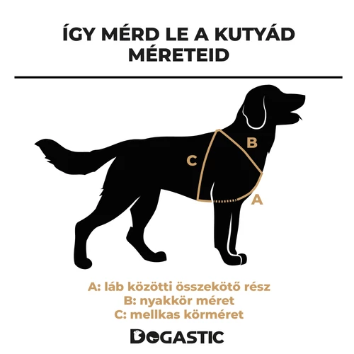 Kép 14/17 - BioThane® Xstyle kutyahám 25mm