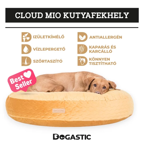Kép 1/10 - premium kutyafekhely cloud mio mustard