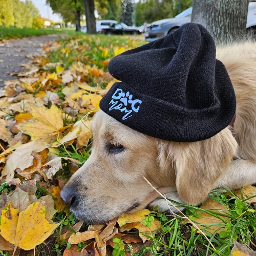 Kép 6/6 - Dog Mom téli sapka - Fekete
