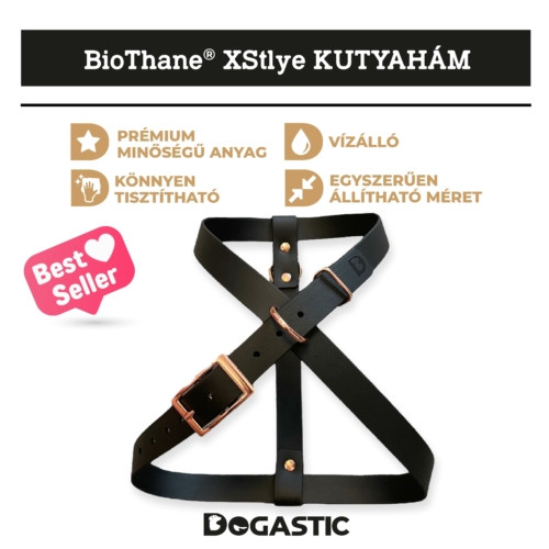 Kép 1/14 - BioThane® Xstyle kutyahám 2,5 cm