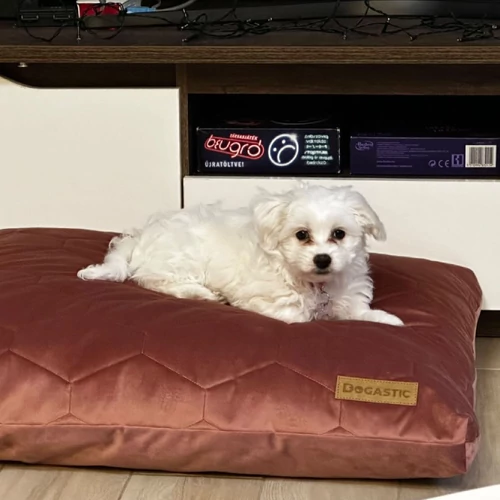 Kép 7/9 - Pillow Mio kutyafekhely