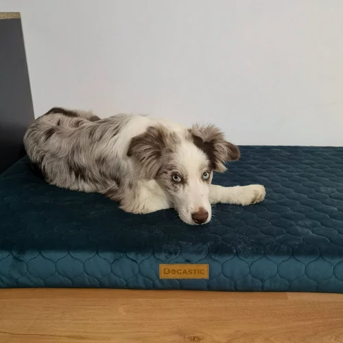 Kép 10/17 - Comfort Mio Kutyafekhely