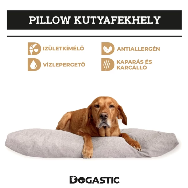 Pillow kutyafekhely