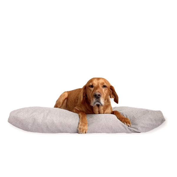 Pillow kutyafekhely