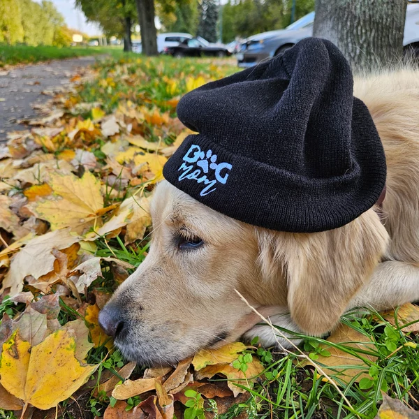 Dog Mom téli sapka - Fekete