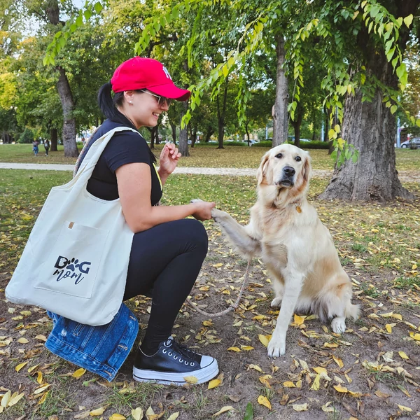 Zsebes Dog Mom vászontáska