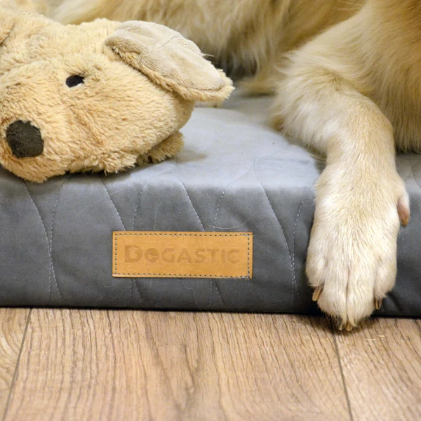 Comfort Mio Kutyafekhely