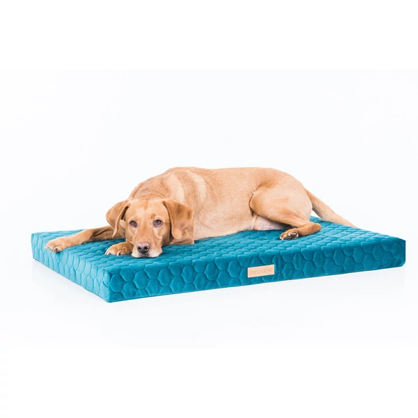 Dogastic Prémium Kékeszöld Bársony Kutyafekhely Teal Redfox Labrador Kutya